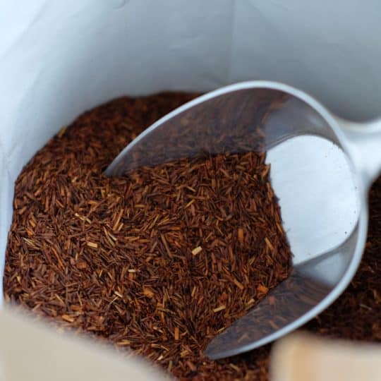 Rooibos