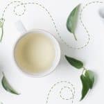 Witte thee: wat is het en waarom is het gezond?